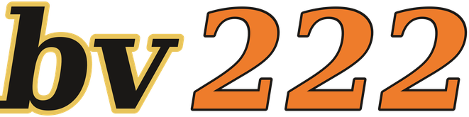bv222 logo